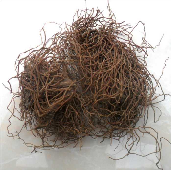 红毛中药材鸡骨升金丝500克包邮其他药食同源食品