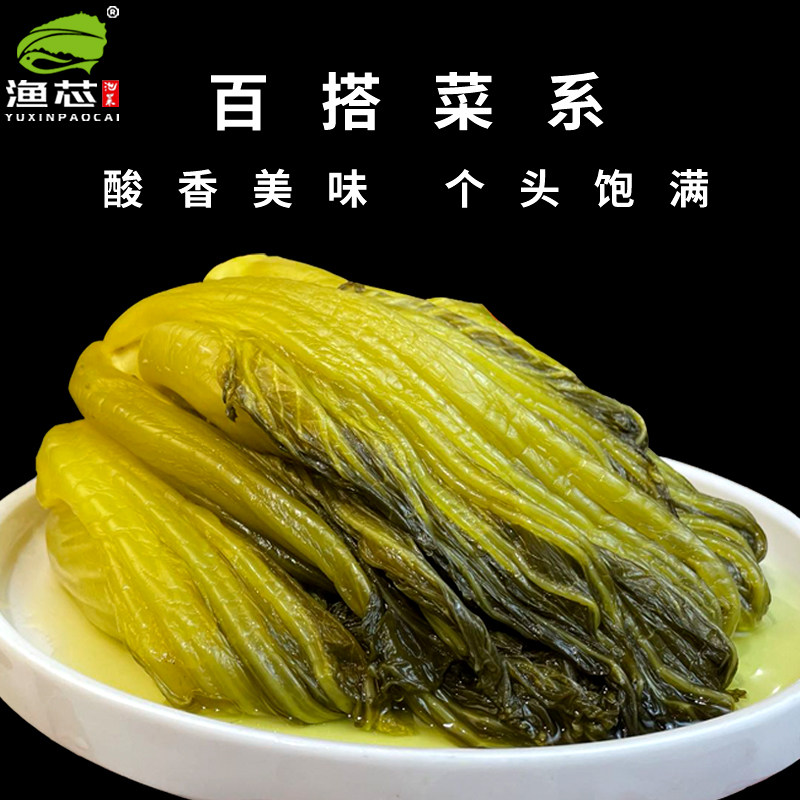 酸菜小叶样品劲道包劲道500g脆爽爽口无筋芥菜腌制