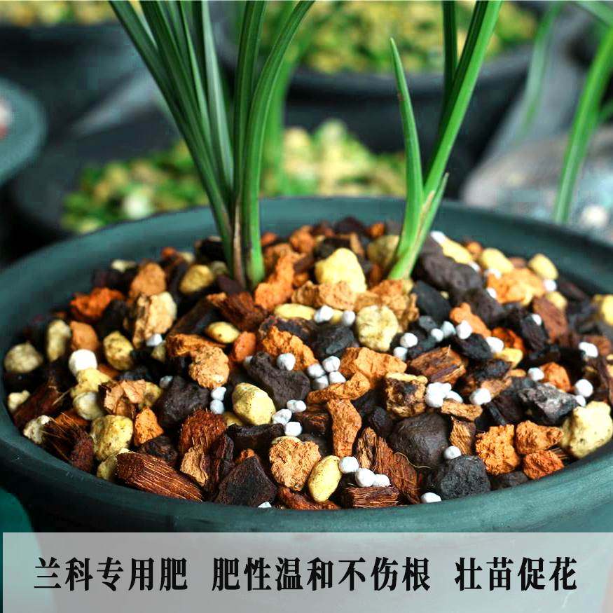 兰花专用肥好康多长效颗粒缓释进口复合肥多肉月季家庭园艺肥料