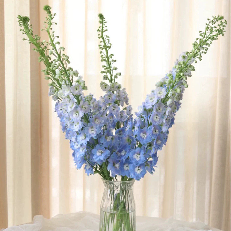 新鲜大飞飞燕昆明明基地直生日爱情礼物家庭生活鲜花速递同城