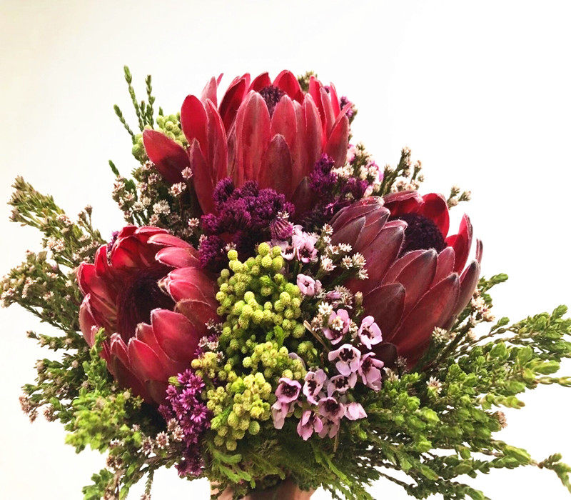 进口南非公主公主花花束帝王水培珊瑚果可干花鲜花速递同城