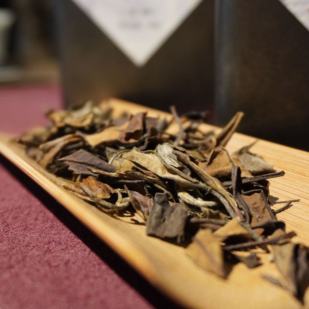 2010年老白茶寿福鼎高山磻溪白茶罐装60g煮着寿眉