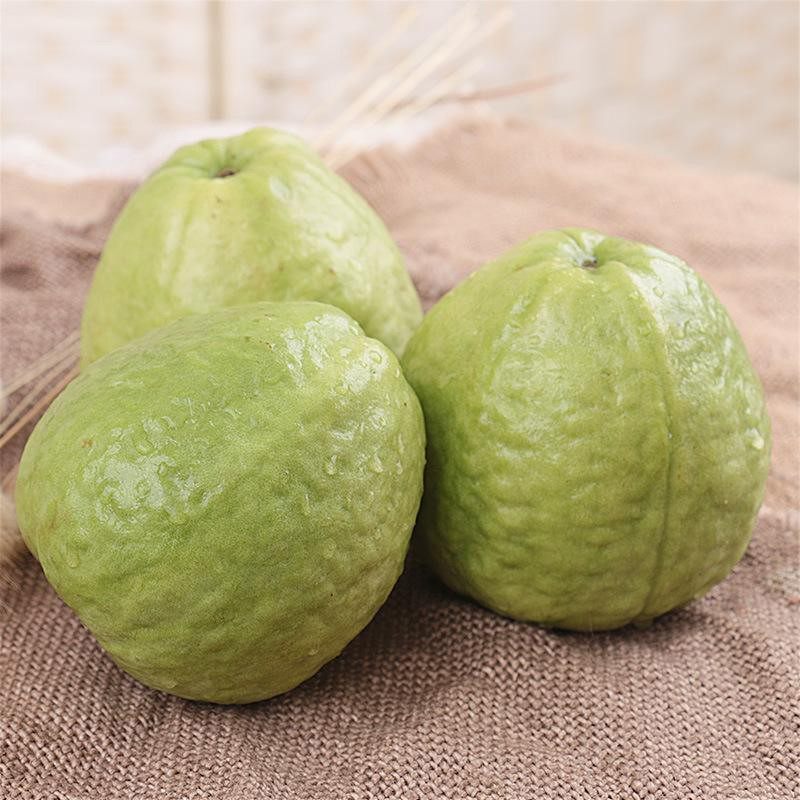 第二半价芭乐新鲜水果当季乐果5斤白心黄金手机保护套