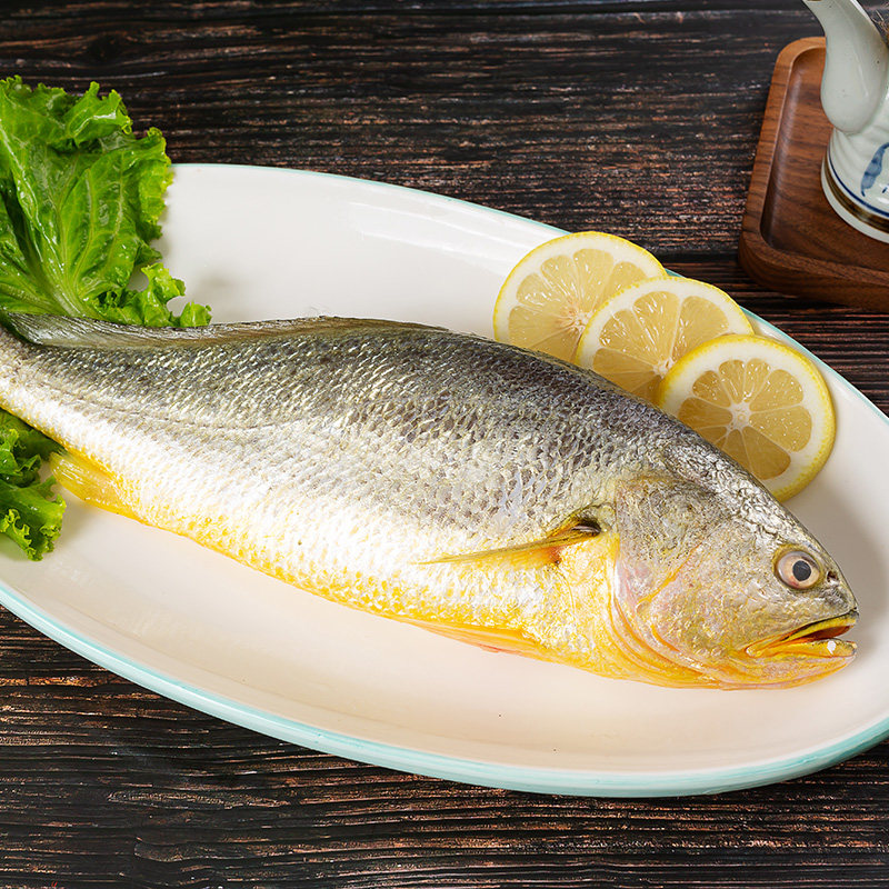 下单单发2条大连大黄黄花鱼深海450500g国产冷冻黄鱼