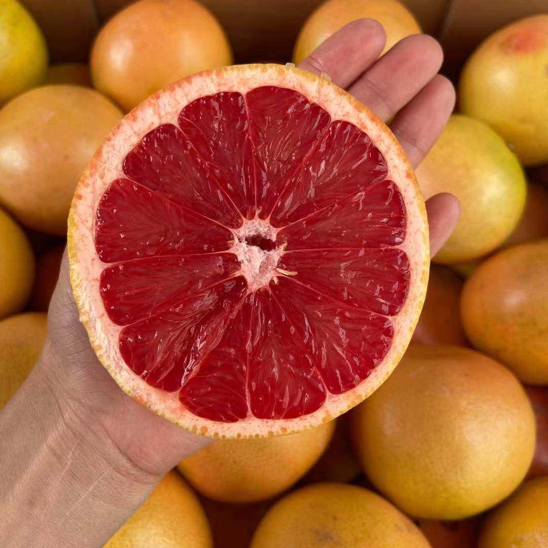 当季以色列jaffa红心西柚新鲜葡萄柚6个装奶茶茶店西柚