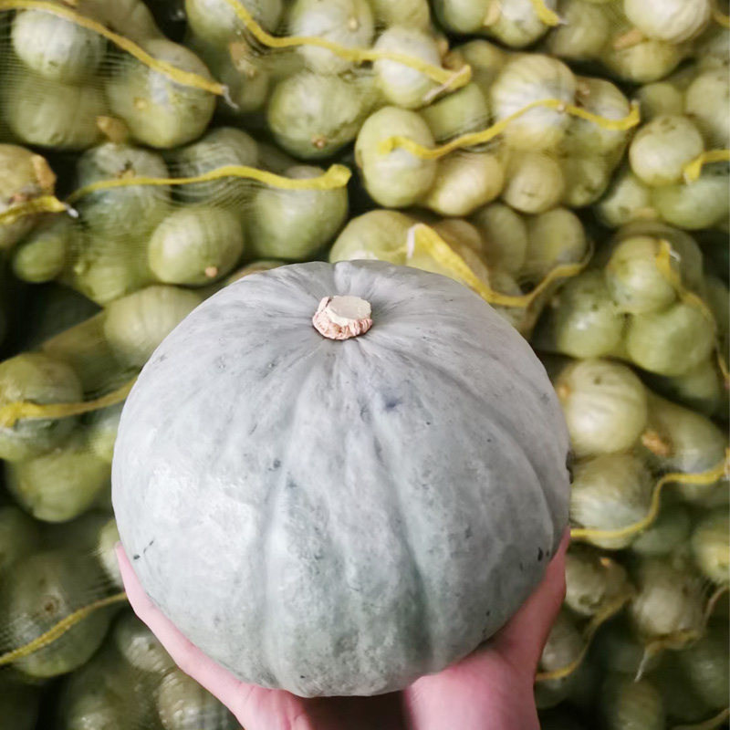 正宗新疆银皮板栗南瓜9斤净重2022新货鲜果南瓜