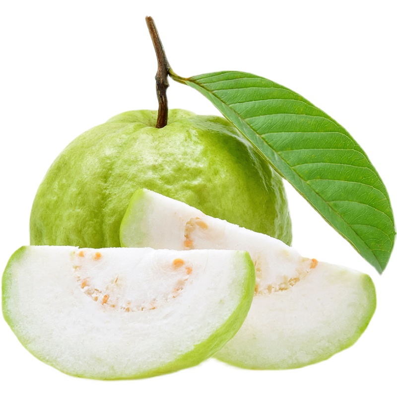 广东白心番石榴乐土芭乐5斤装清脆香甜新鲜当季芭乐