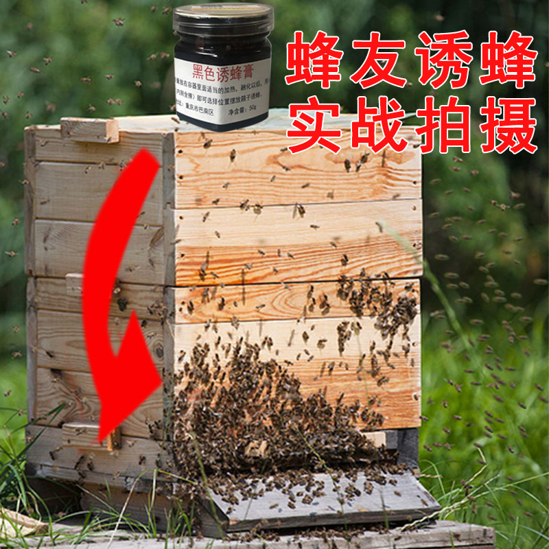 黑色诱蜂膏诱蜂水招蜂引蜂专用野外蜜蜂王分蜂液蜜蜂信息素工具