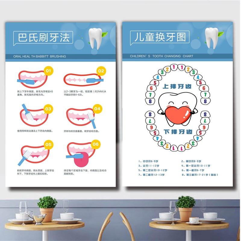 诊所挂图烤瓷牙齿解剖图口腔知识e海报贴纸宣传画kt板