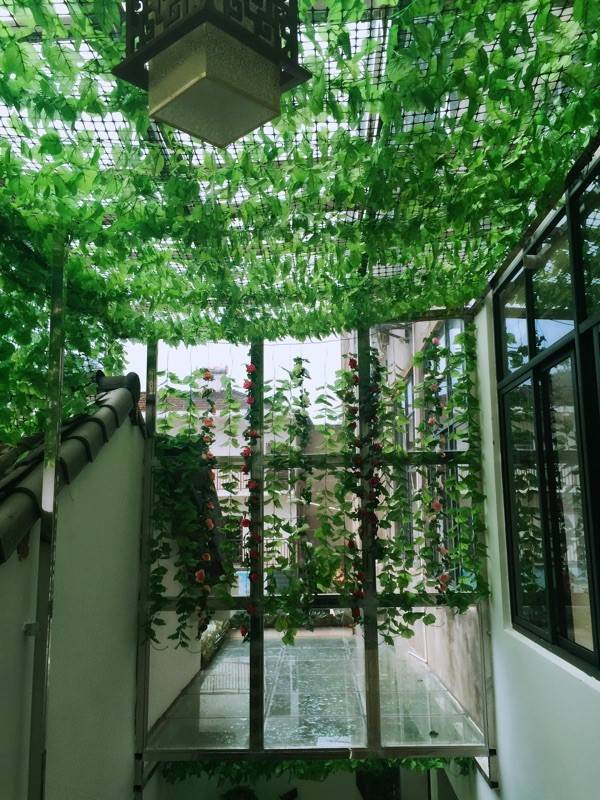 屋顶遮挡花藤绕假缠吊树叶装饰房屋仿真室内仿真绿植