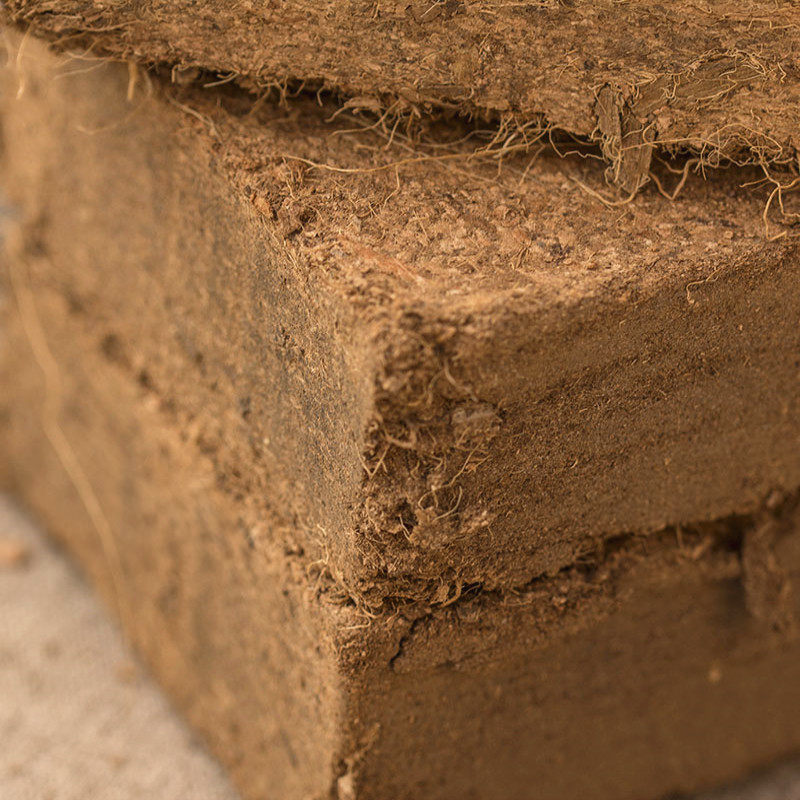 基质阳台种菜种花椰块椰土蔬菜椰砖兰花各类家庭园艺种子