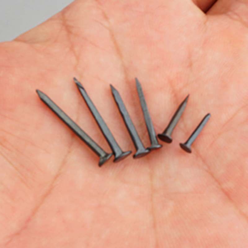 钉鞋鞋钉木板小钉圆头臭皮钉秋皮迷你铁钉大头钉