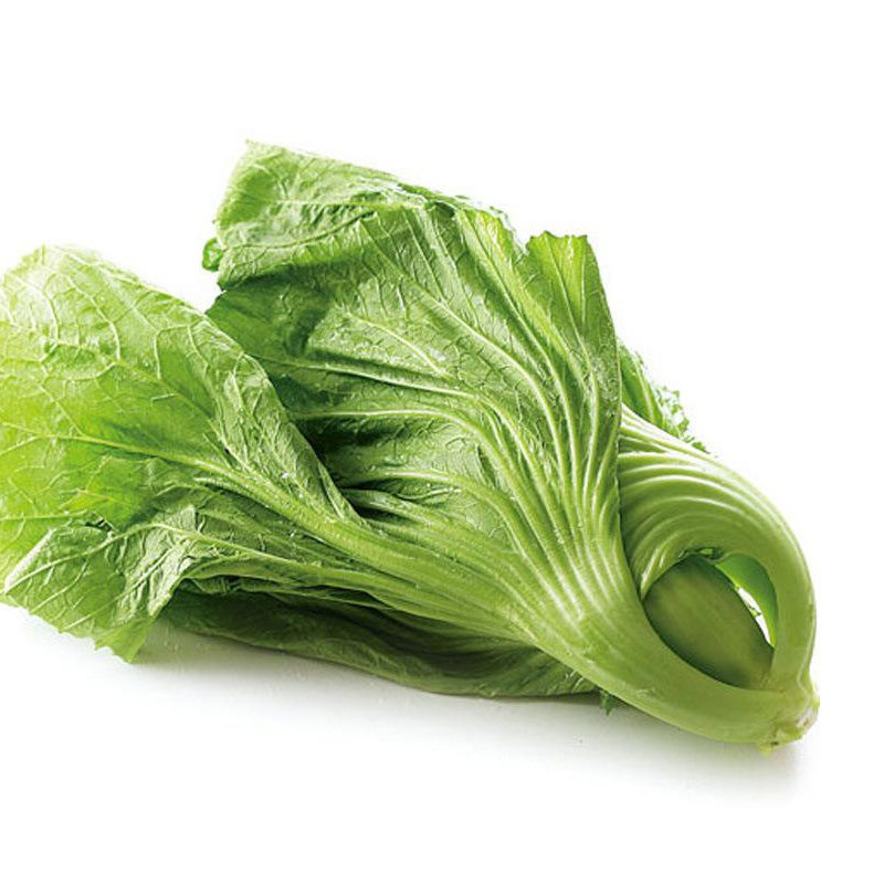 长耕高钙菜种籽水东鸡心芥菜种子广东东特速生家庭园艺种子