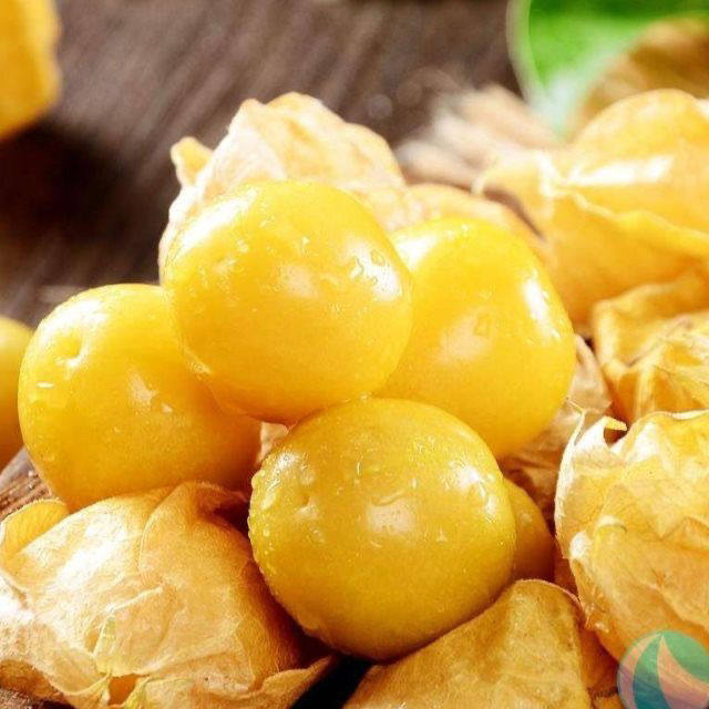 1斤水果孕妇灯笼果新鲜菇凉果洋姑娘黄姑娘现摘其它