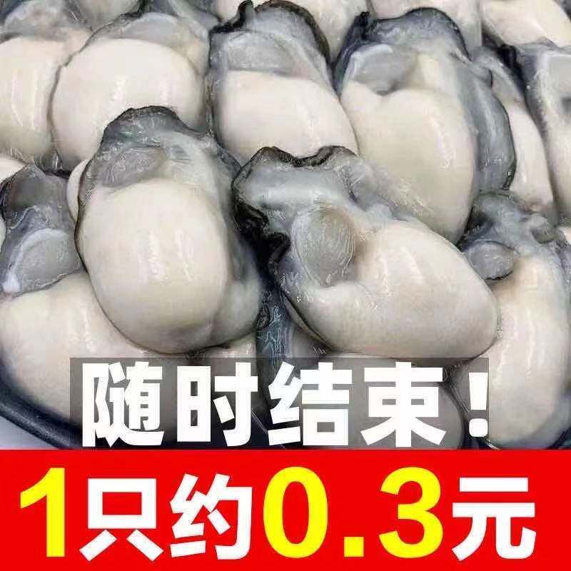 蒜蓉大个生蚝肉碳牡蛎罐头海鲜熟食即食罐装生蚝