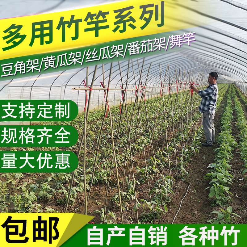 家舞各种规格菜竹竿子种菜园搭B架黄瓜跳用豆角蔬细园旗杆竹篱笆 - 图2