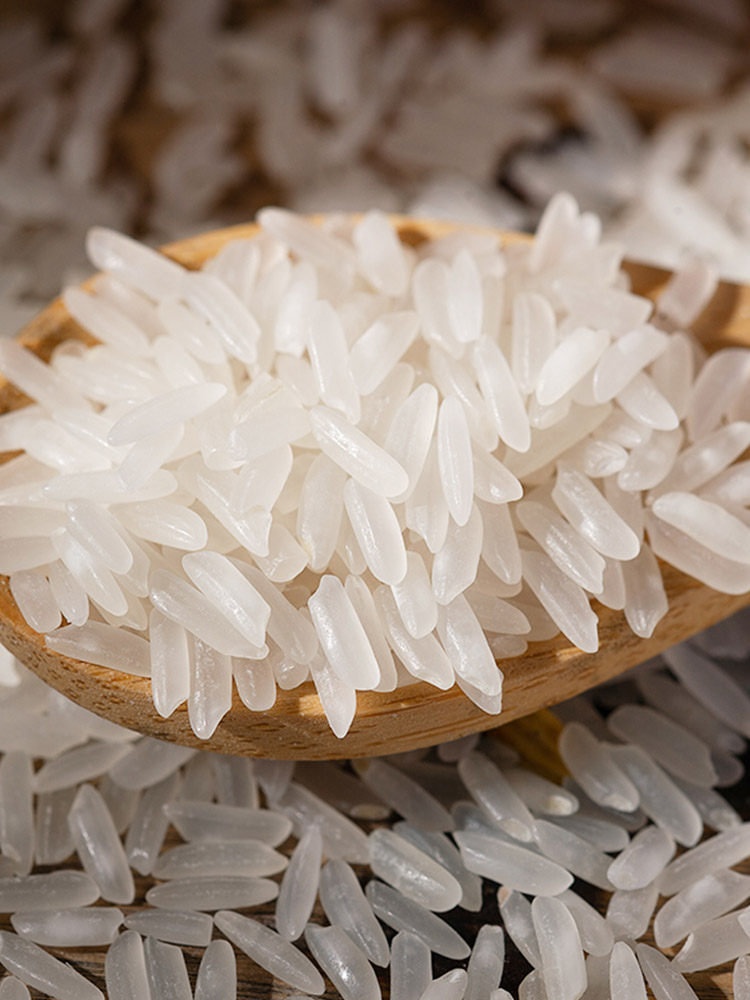 【北粮韵】真空包装新米优质虾田米10斤装