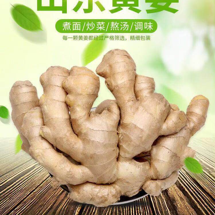 大姜老姜山东10斤大黄黄姜非姜无泥生姜优质生姜