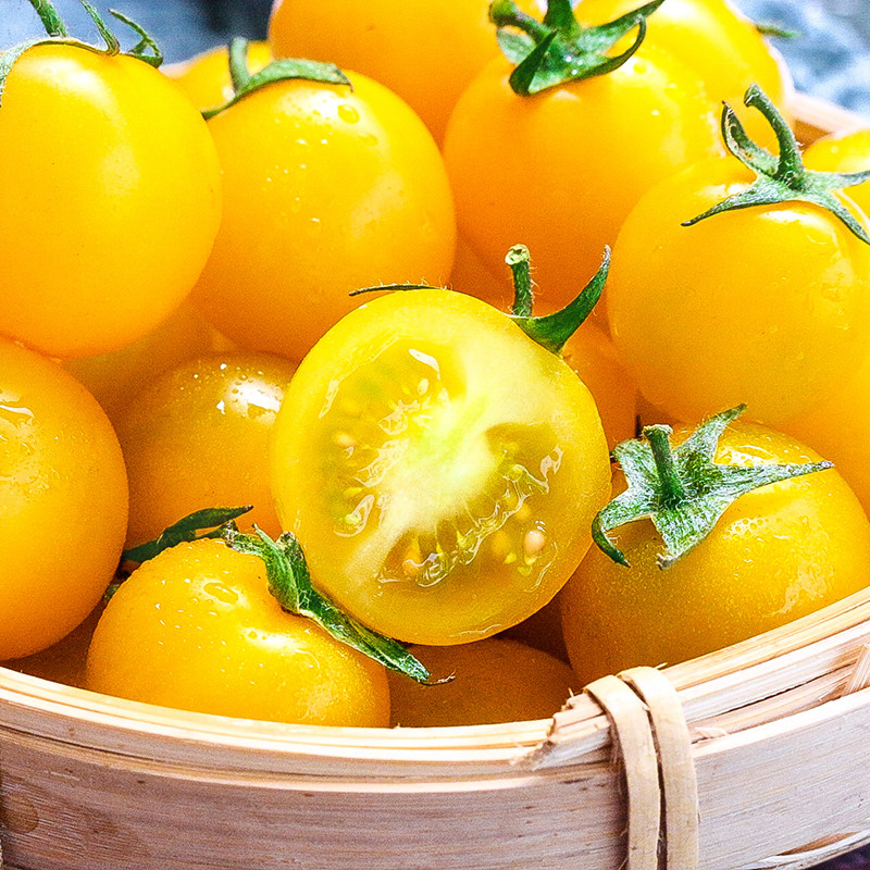 千禧圣女果夏日阳光新鲜小西西红柿樱桃番茄生吃番茄