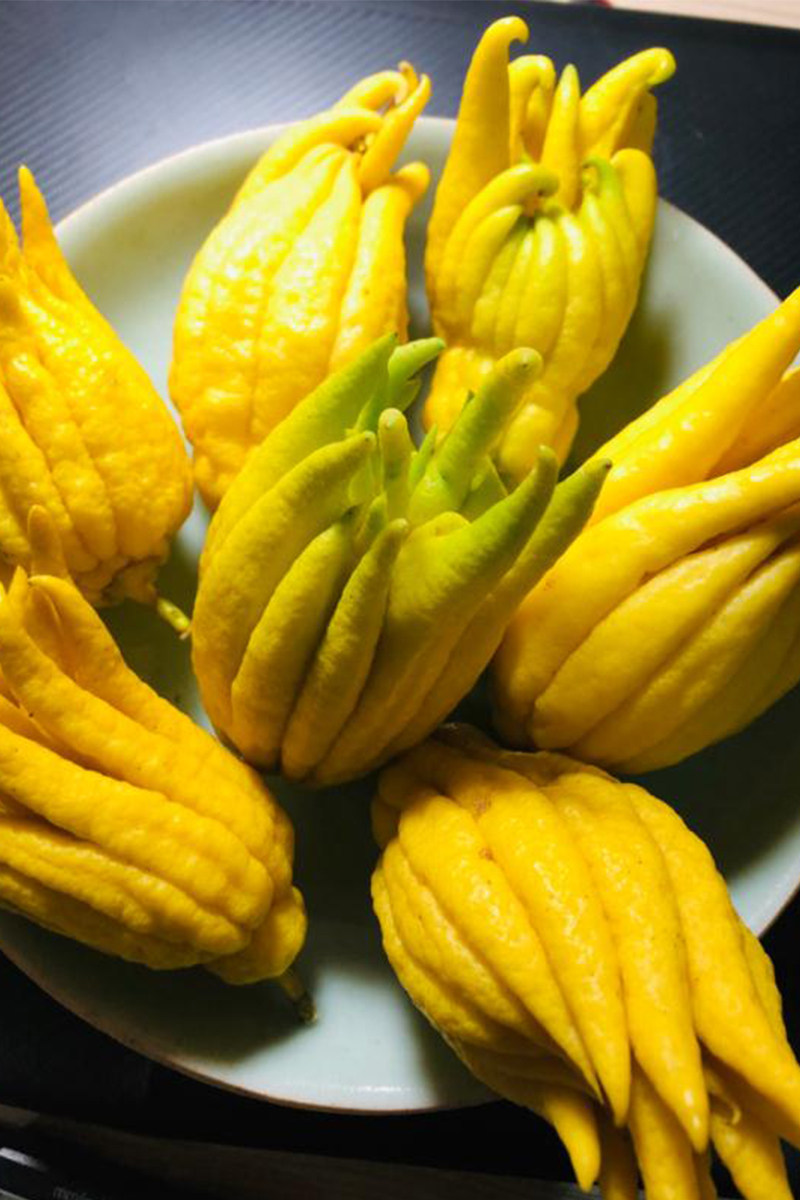 佛手迷你金华新鲜金佛手闻香供佛摆盘装饰现摘佛手果