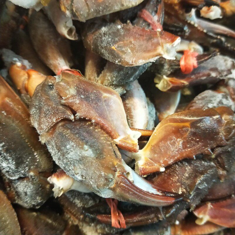 蟹钳花盖蟹甲东港海鲜新鲜冷冻麻辣鲜活蟹石手机保护套