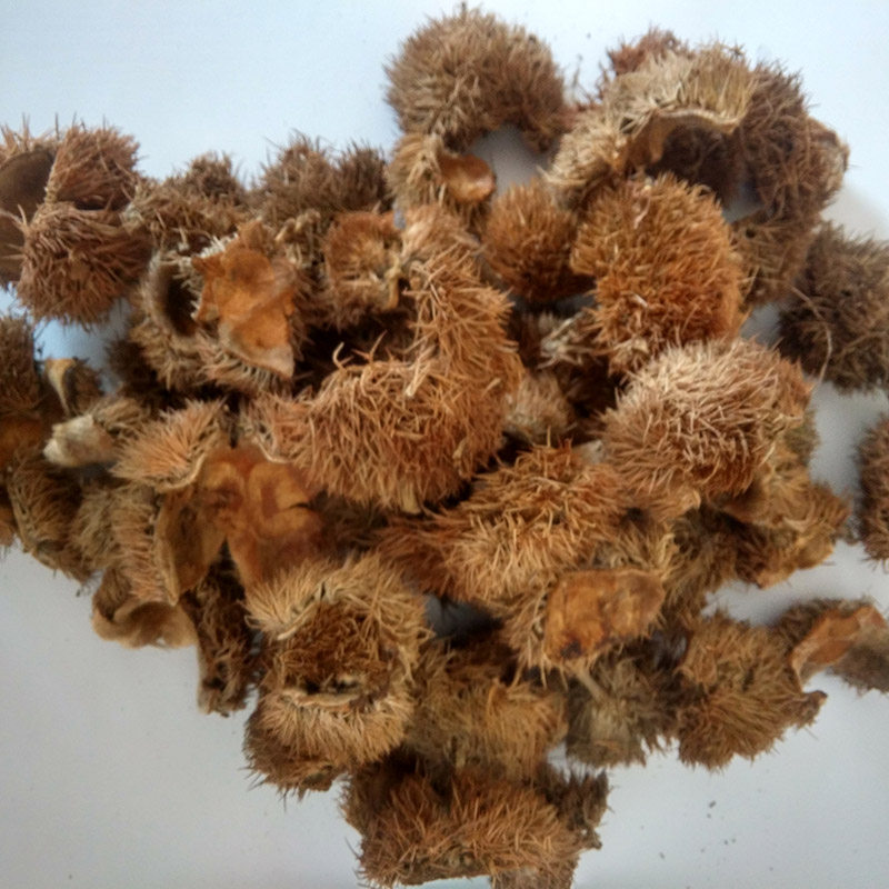 广西桂林板栗壳 栗毛壳 栗刺壳 风栗壳板中药材500克新货外壳 - 爱购