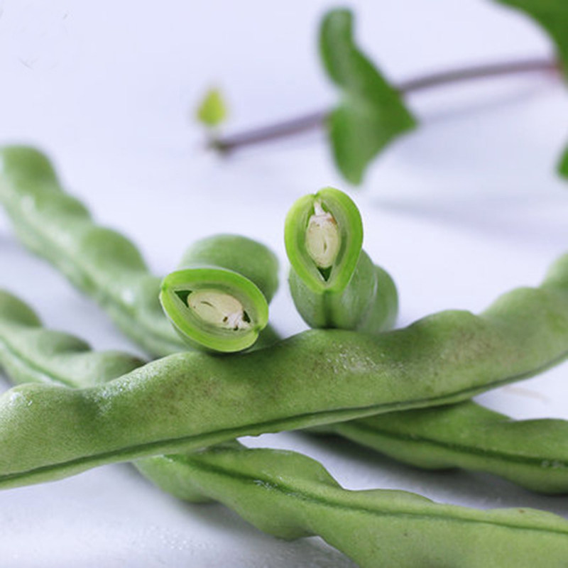 豆角云南四季芸豆长扁新鲜蔬菜农家自种扁豆新鲜豆类