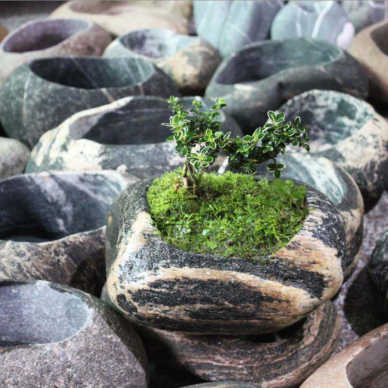 天然创意鹅卵石花盆绿萝多肉水培铜钱石头朴花花盆