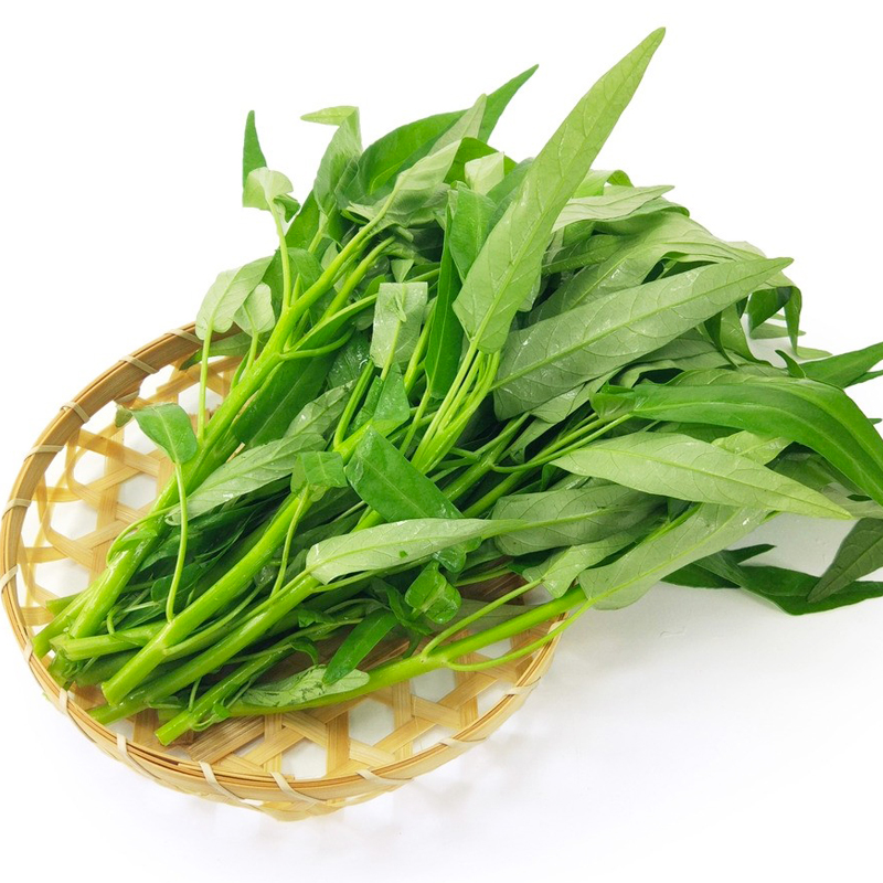 柳叶空心菜种子种籽大叶竹叶菜籽籽种大全四季家庭园艺种子