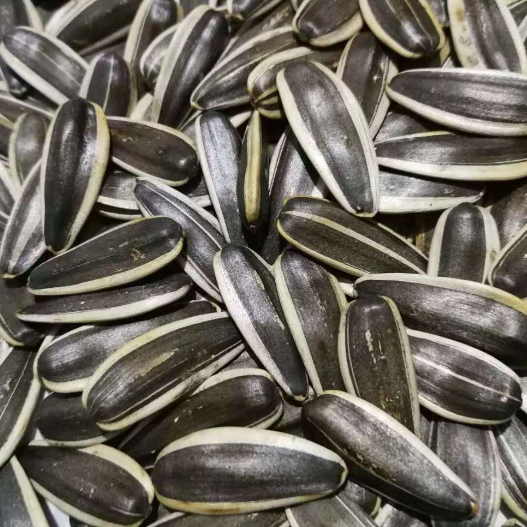 瓜子葵花籽新货新鲜原味散装5斤葵瓜子生瓜子
