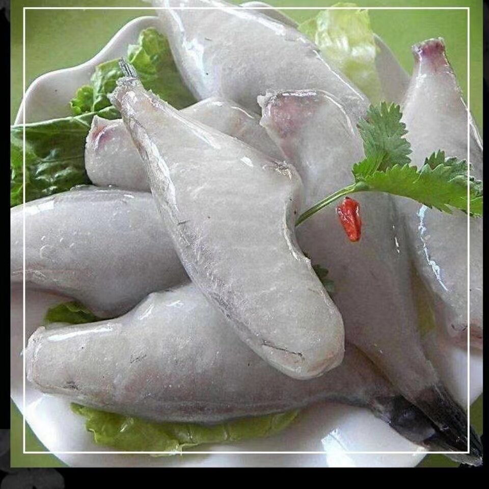 小号耗儿冷冻新鲜马面鱼剥皮海鱼其它