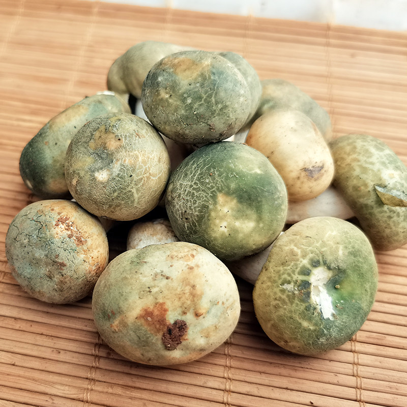 新鲜野生头菌精品小骨朵青绿豆菌鲜煲汤云南新鲜松茸