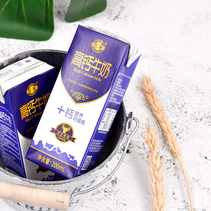 石埠乳业高钙牛奶12盒整箱学生青少年健康营养含乳饮料