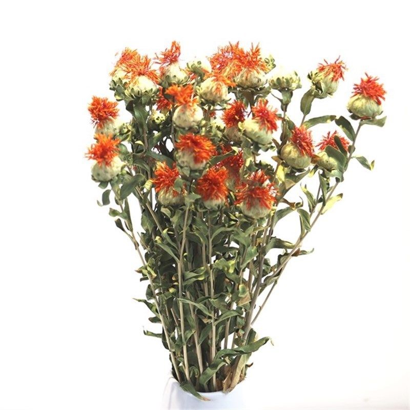 菠萝干花自家种的波罗蜜藏红花天然自然真花花束干花