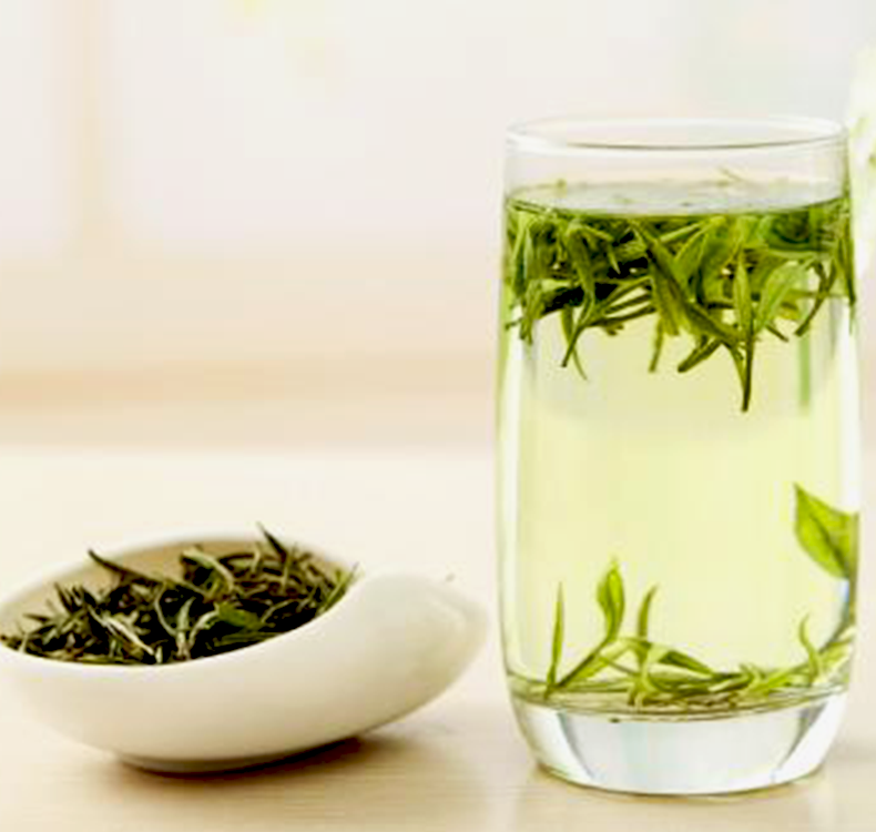 崂山绿茶万里江春茶2022新茶叶茶叶正宗青岛特产其它绿茶