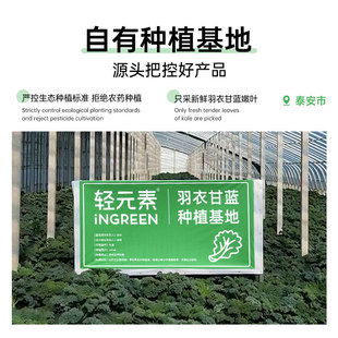 轻元素奇亚籽羽衣甘蓝粉30条官方旗舰店正品代餐粉高膳食纤维冲饮