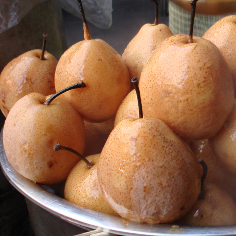 甘肃冬果梨新鲜水果老兰州味道特产煮热冬果白梨软儿汤西园梨包邮