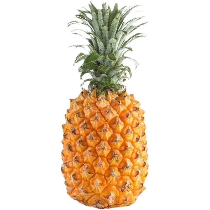 菠萝海南金钻凤梨新鲜水果孕妇当季爆甜现摘菠萝