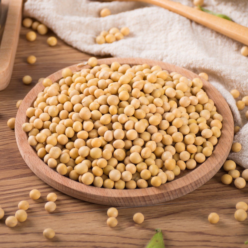 东北黄豆新豆黑龙江大豆非转基因发豆芽专用打豆浆纳豆笨黄豆