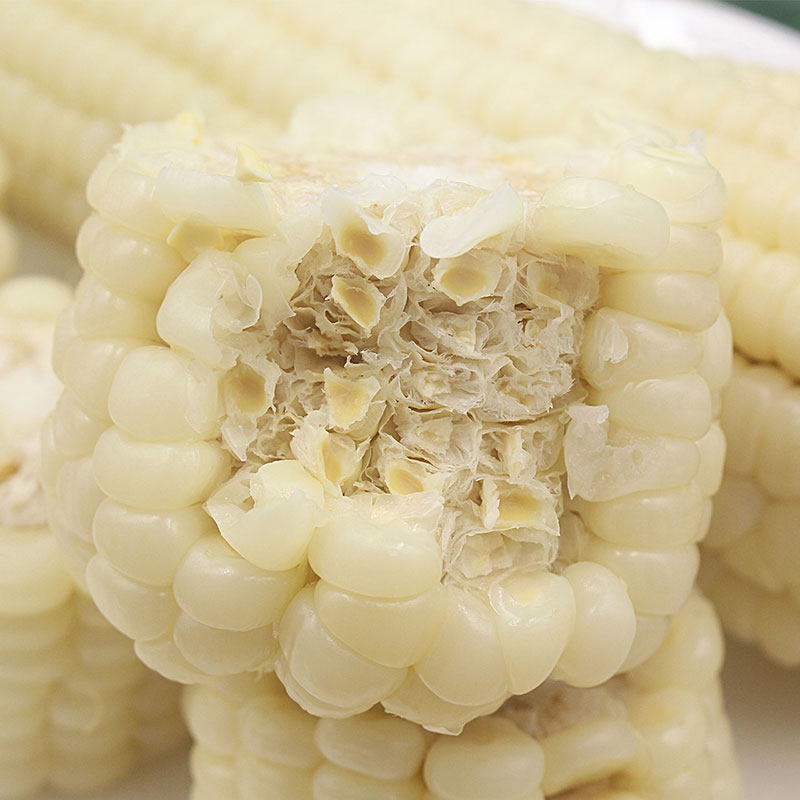 农家白美人玉米9斤大果新鲜现摘嫩黏玉米棒子粒新鲜玉米