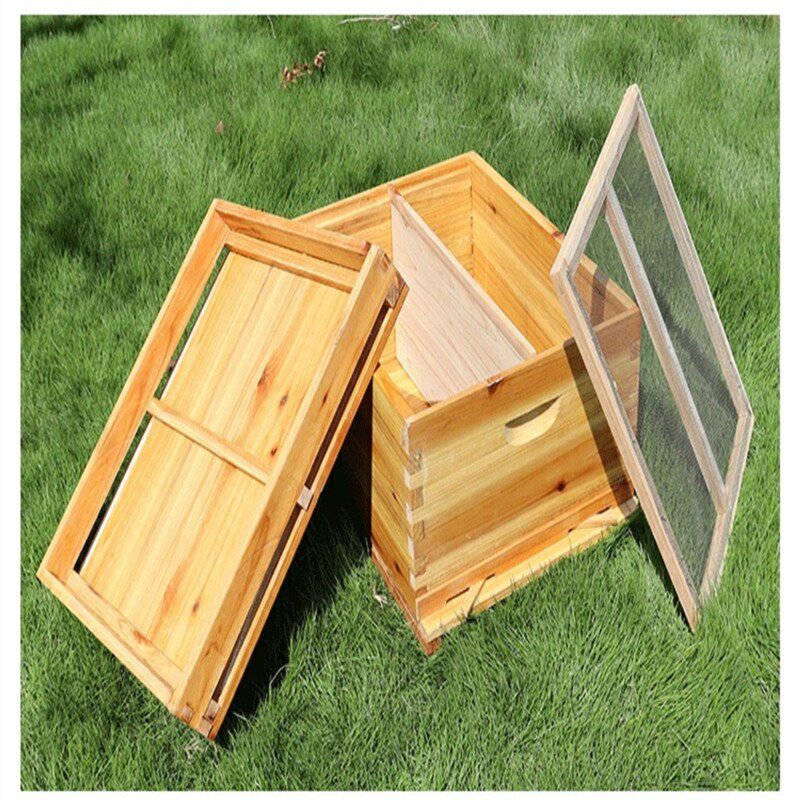 蜜蜂蜂箱全套养蜂工具专用中蜂用品十框标准1t0框煮蜡香杉木