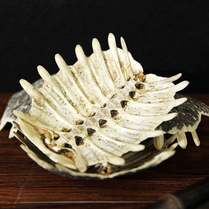 鳖甲中药材500g克生甲壳甲鱼壳鳖盖子炒鳖甲炙其他药食同源食品