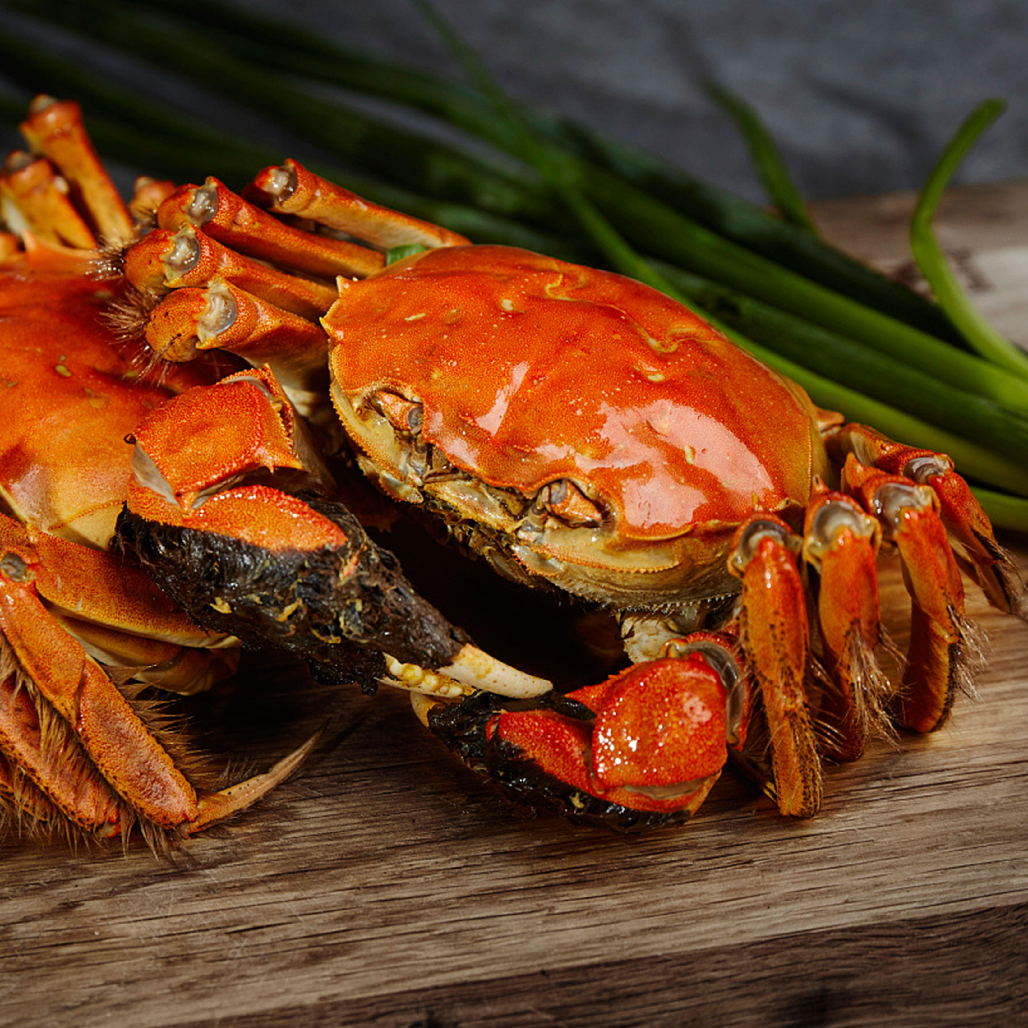 10只鲜活兴化红膏大闸蟹现货净重353252两送礼大闸蟹