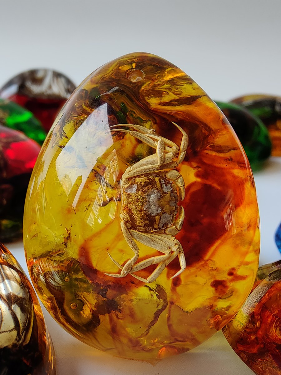 标本琥珀昆虫吊坠天然蝴蝶虫珀项链带动物挂件项坠