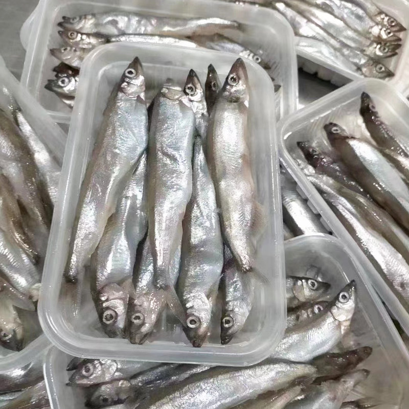 福建闽南新鲜多春鱼满鲜活海鲜水产带籽多籽多春鱼(新)