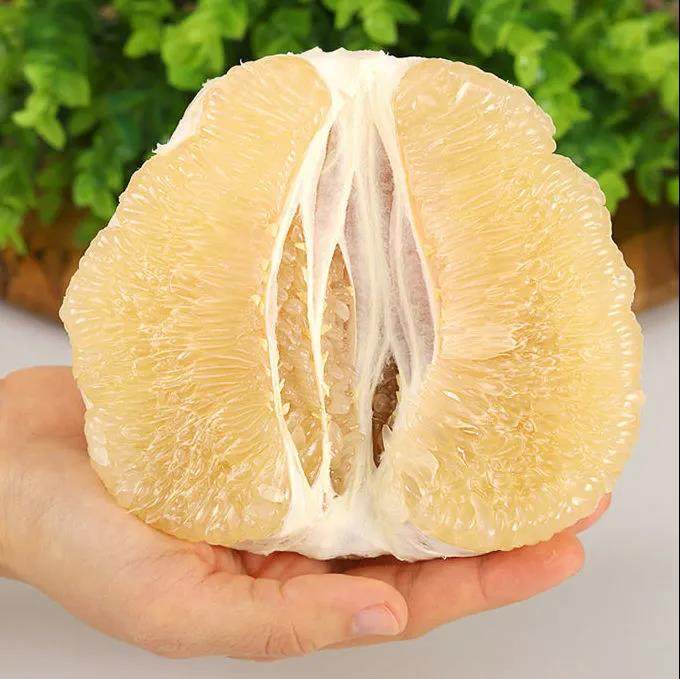 柚子子白心大蜜柚白肉薄皮超甜当季孕妇新鲜柚子