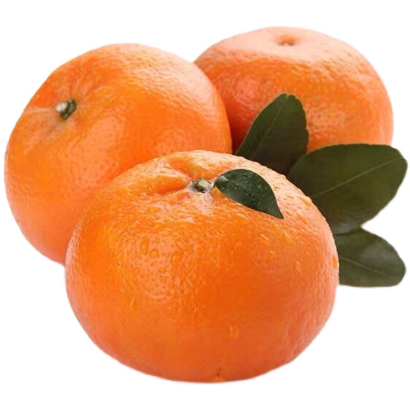 正宗广西武鸣沃10斤新鲜水果沃柑柑橘橘子现摘桔子