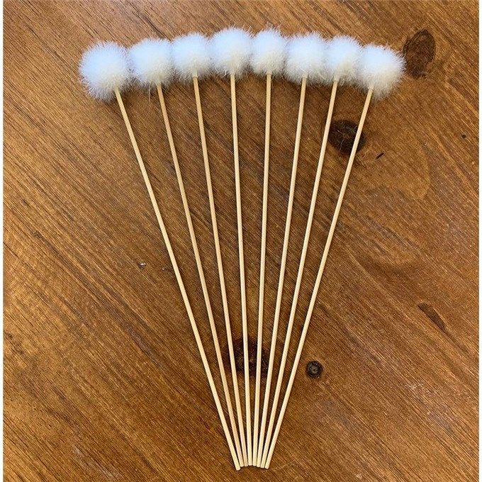 授粉西红柿猕猴桃鹅毛鸭绒大毛果树人工授粉机授粉器