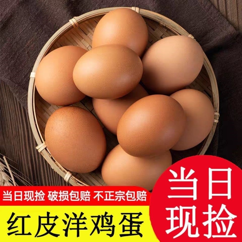 鸡蛋现捡现发农家正宗红皮红壳天然无抗月子鸡蛋