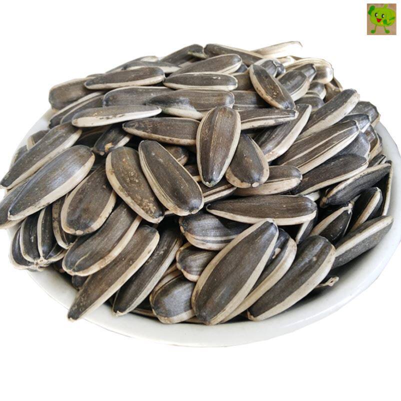 花籽瓜子生癸癸花颗粒蔡花新货内蒙散装包邮生瓜子